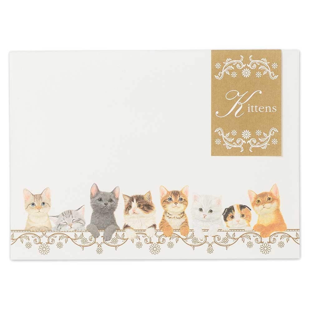 Envelopes (4-pack) - Kittens
