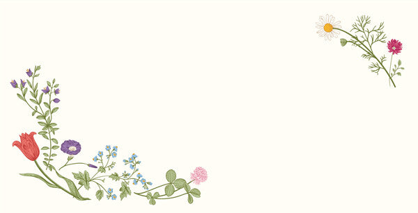 Envelopes (6-pack) - A Breath Of Spring