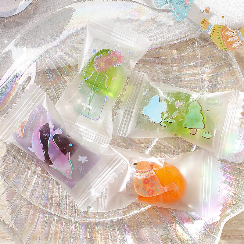 Bird Embroidery Clear Washi Tape | BGM