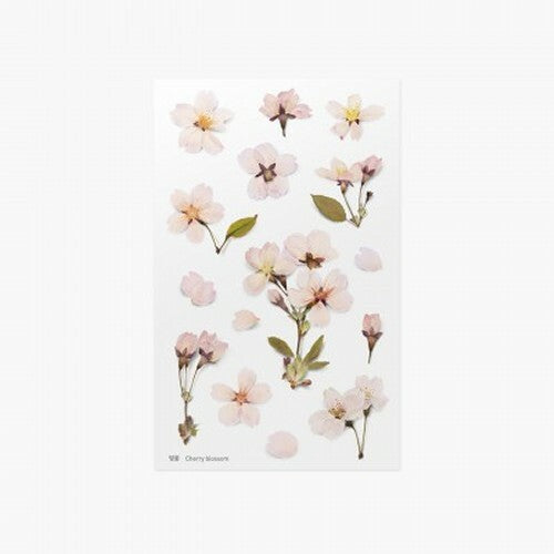 Cherry Blossom | World Craft Pressed Flower Stickers Sheet
