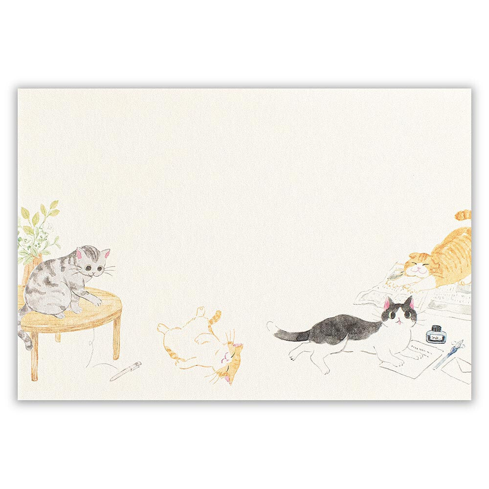 Envelopes (4-pack) - Lifestyle Cats