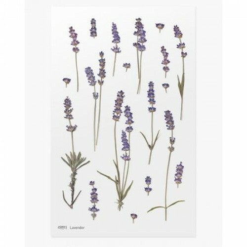 Lavender | World Craft Pressed Flower Stickers Sheet