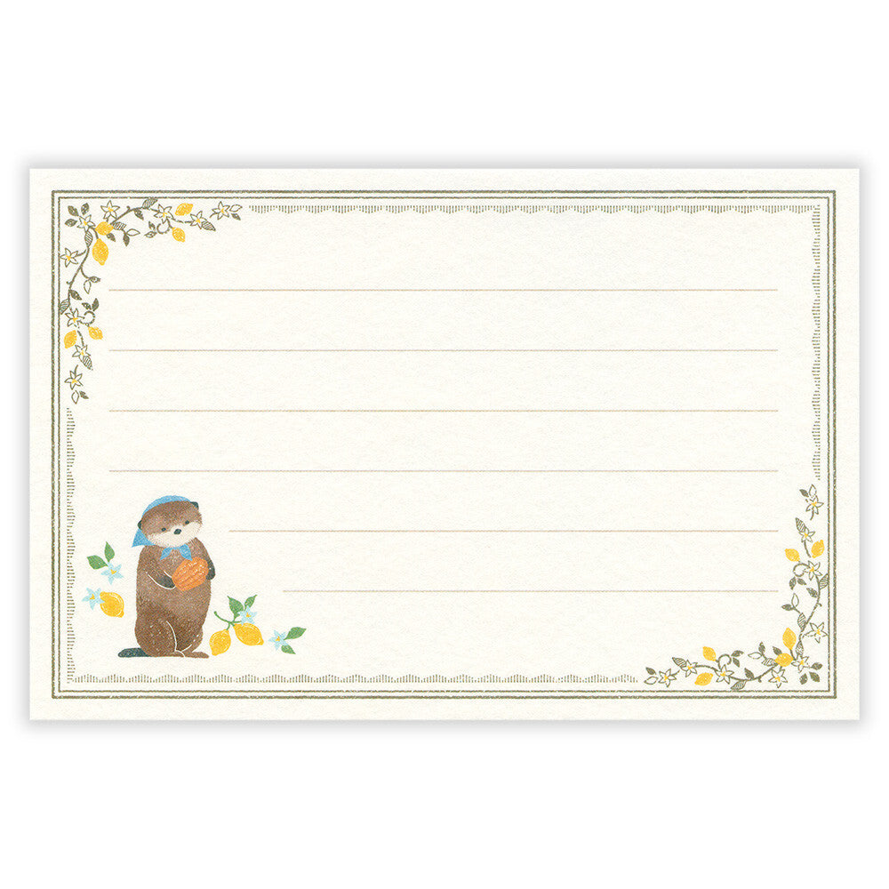 Mini Letter Writing Set | A Sea Otter And Shell Madeleines 'Ressa'