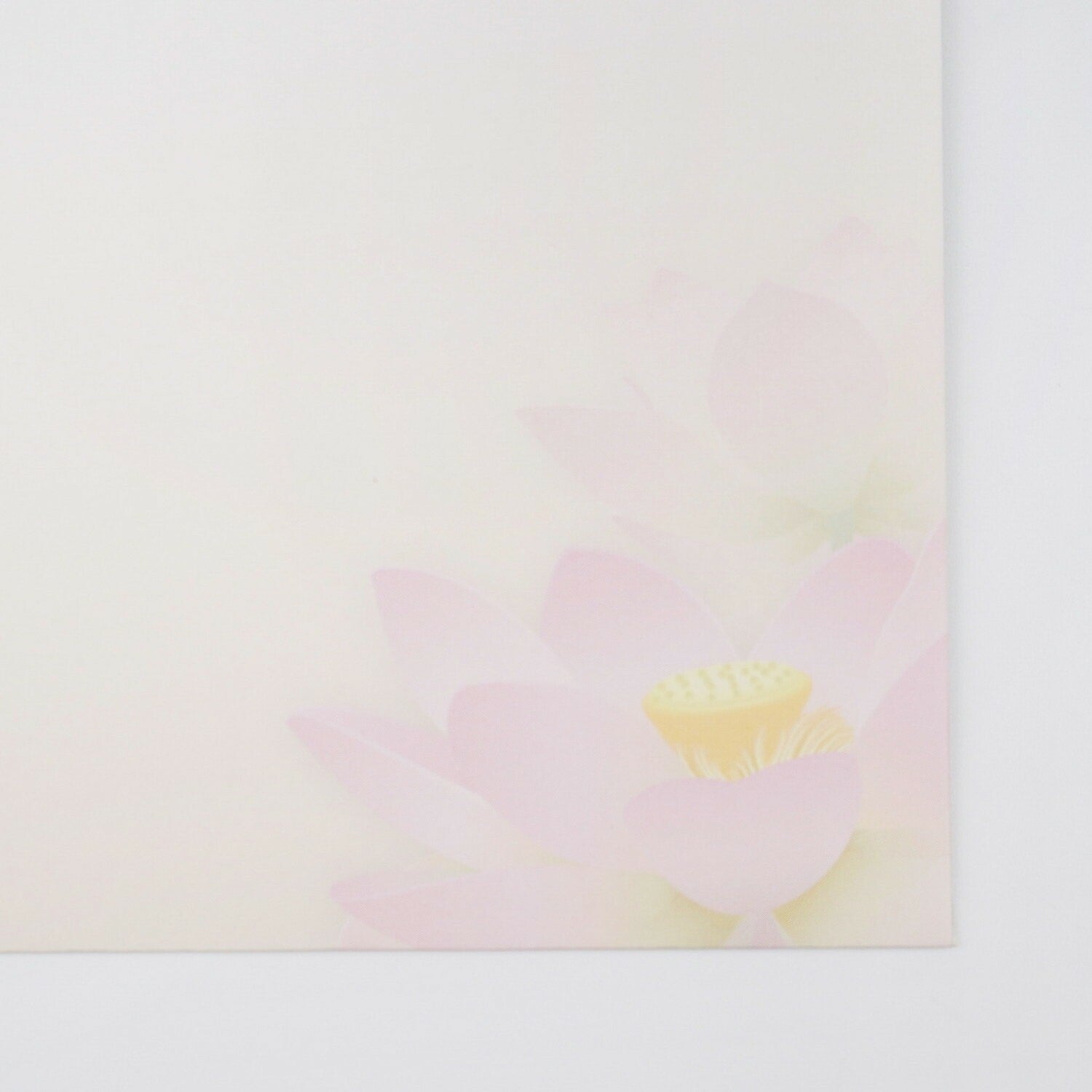 Envelopes (6-pack) - Pink Lotus