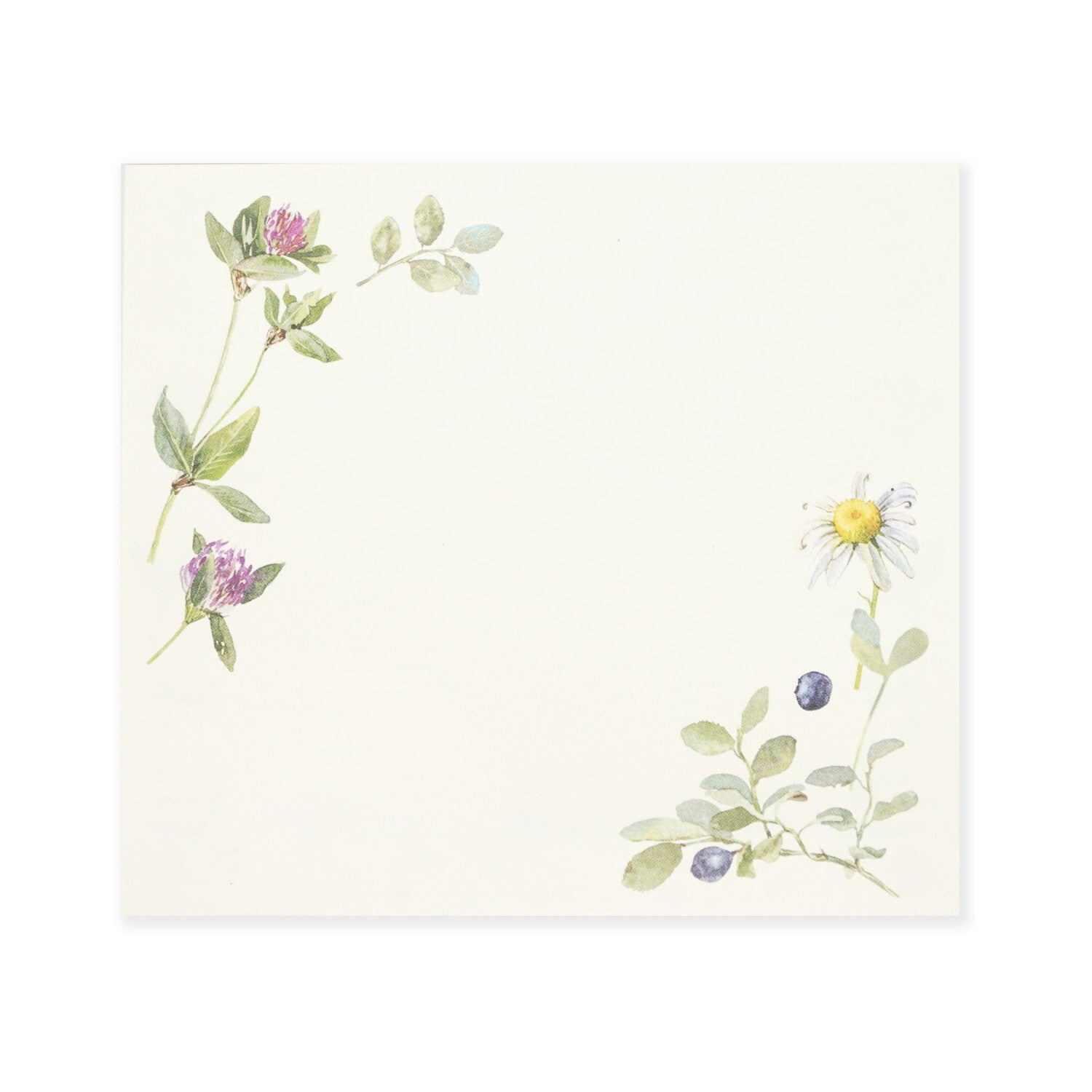 blueberry garden botanical flowers daisy clover memo pad