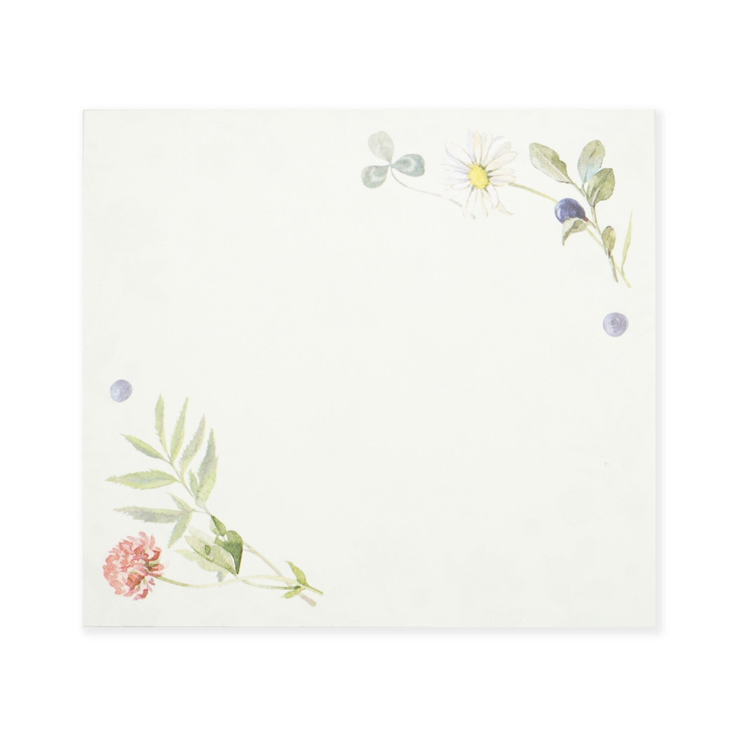 blueberry garden botanical flowers daisy clover memo pad