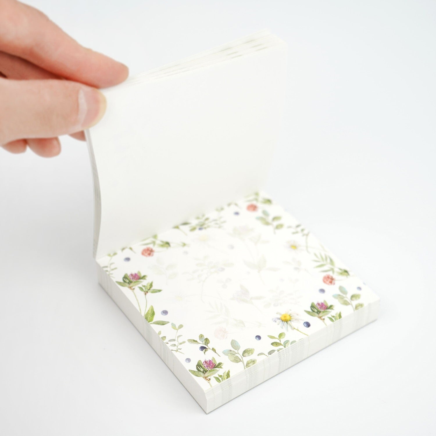 blueberry garden botanical flowers daisy clover memo pad