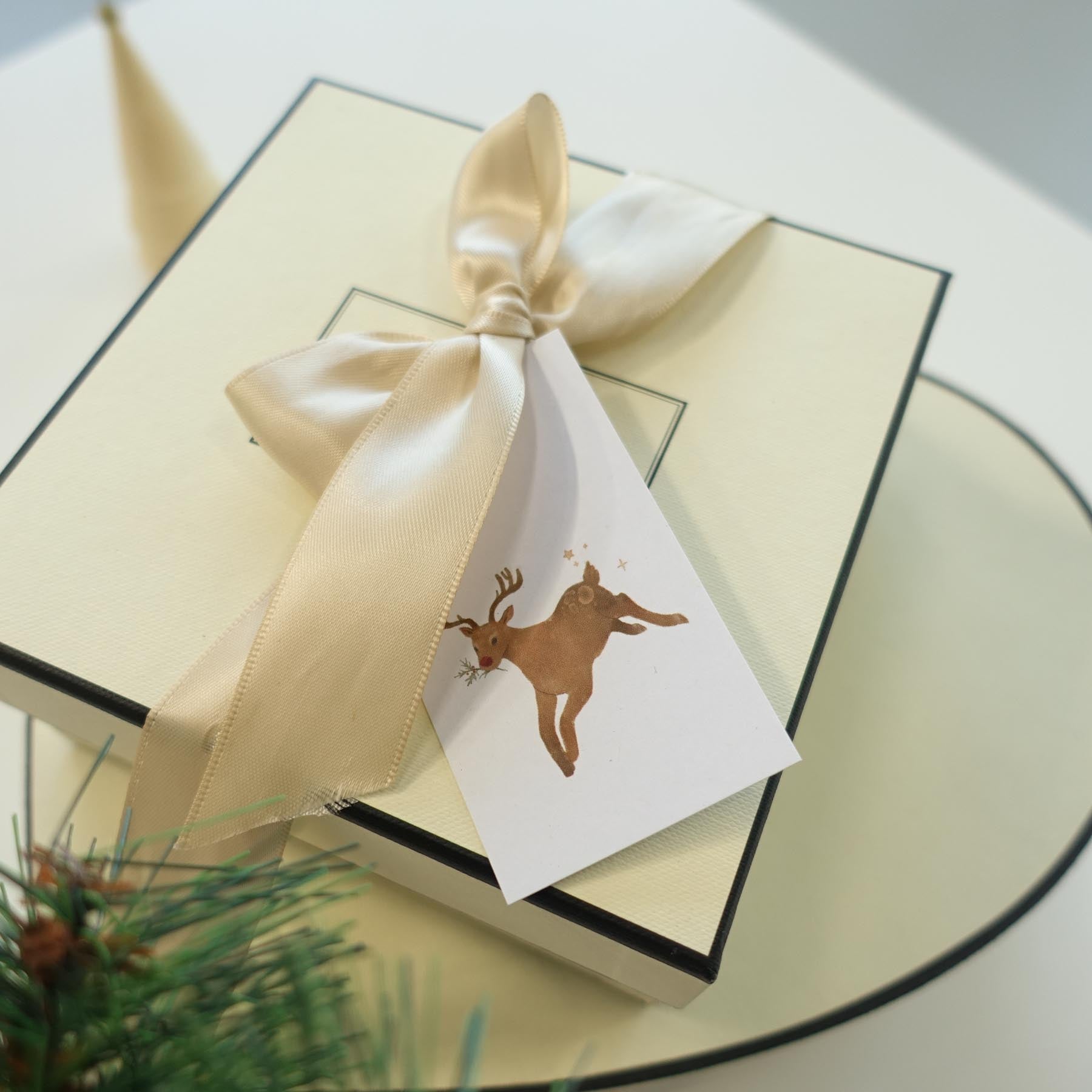 Fiona Ariva Christmas Assorted Gift Tags 6-Pack