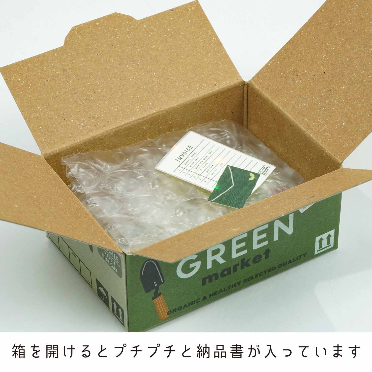 Green Market | Small Box of Japanese Flake Stickers | Haco Seal