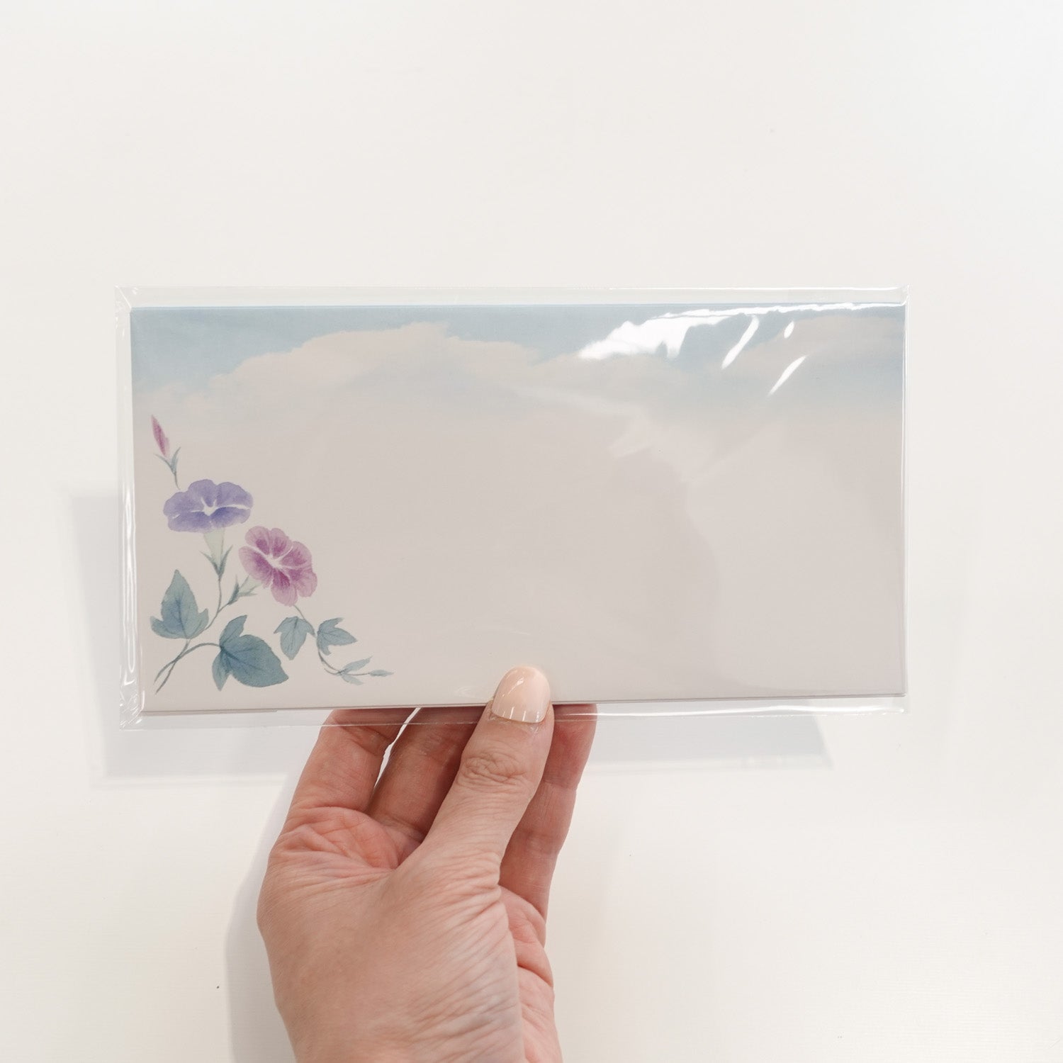 Envelopes (6-pack) - Morning Glory