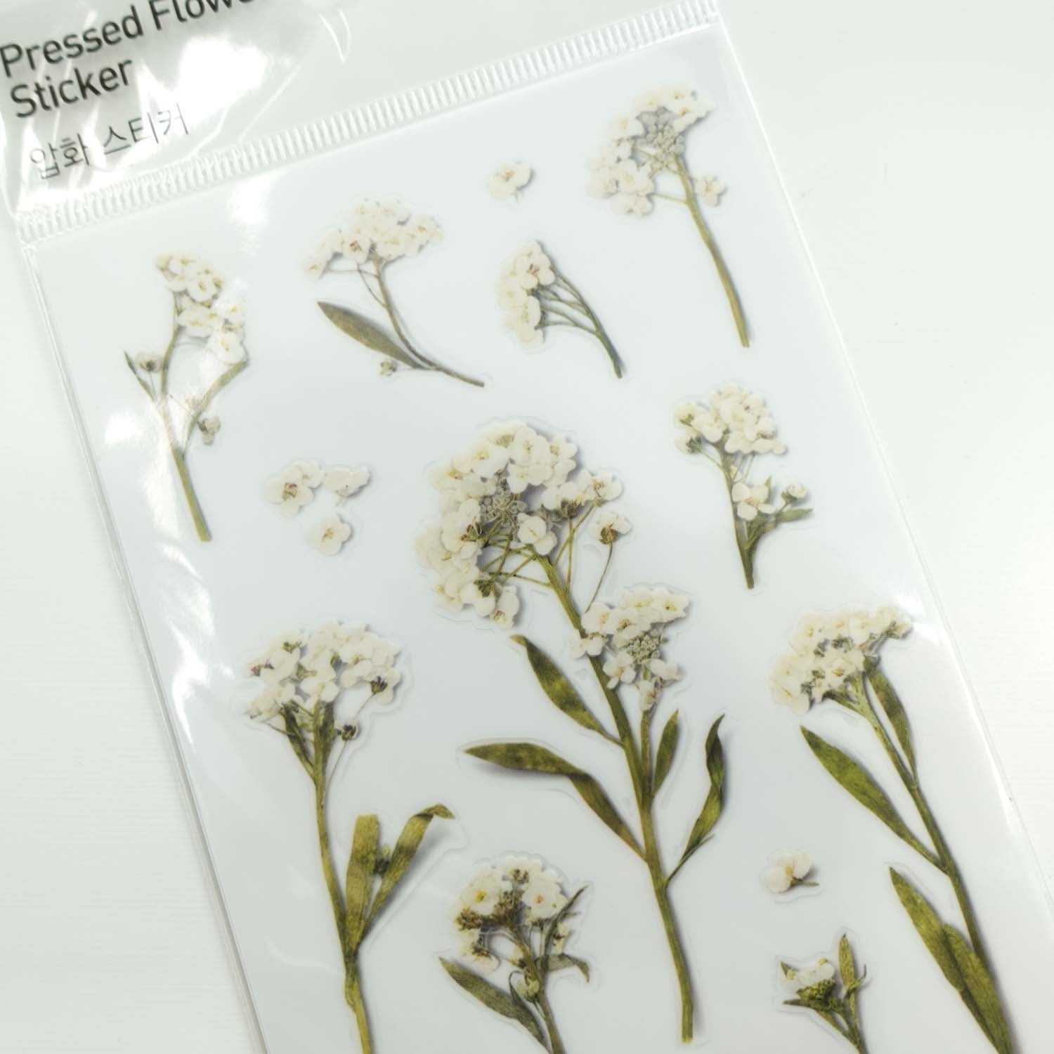 Sweet Alyssum | World Craft Pressed Flower Stickers Sheet