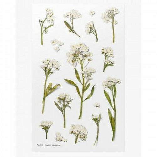Sweet Alyssum | World Craft Pressed Flower Stickers Sheet