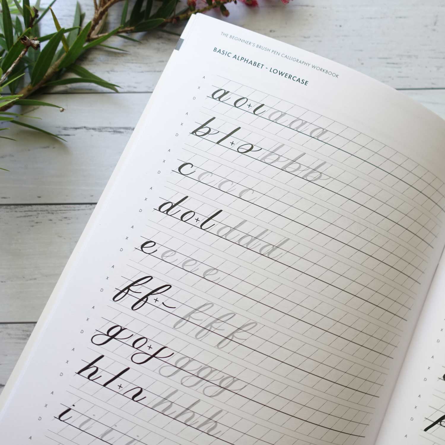 Beginner's brush pen lettering calligraphy lowercase alphabet Australia