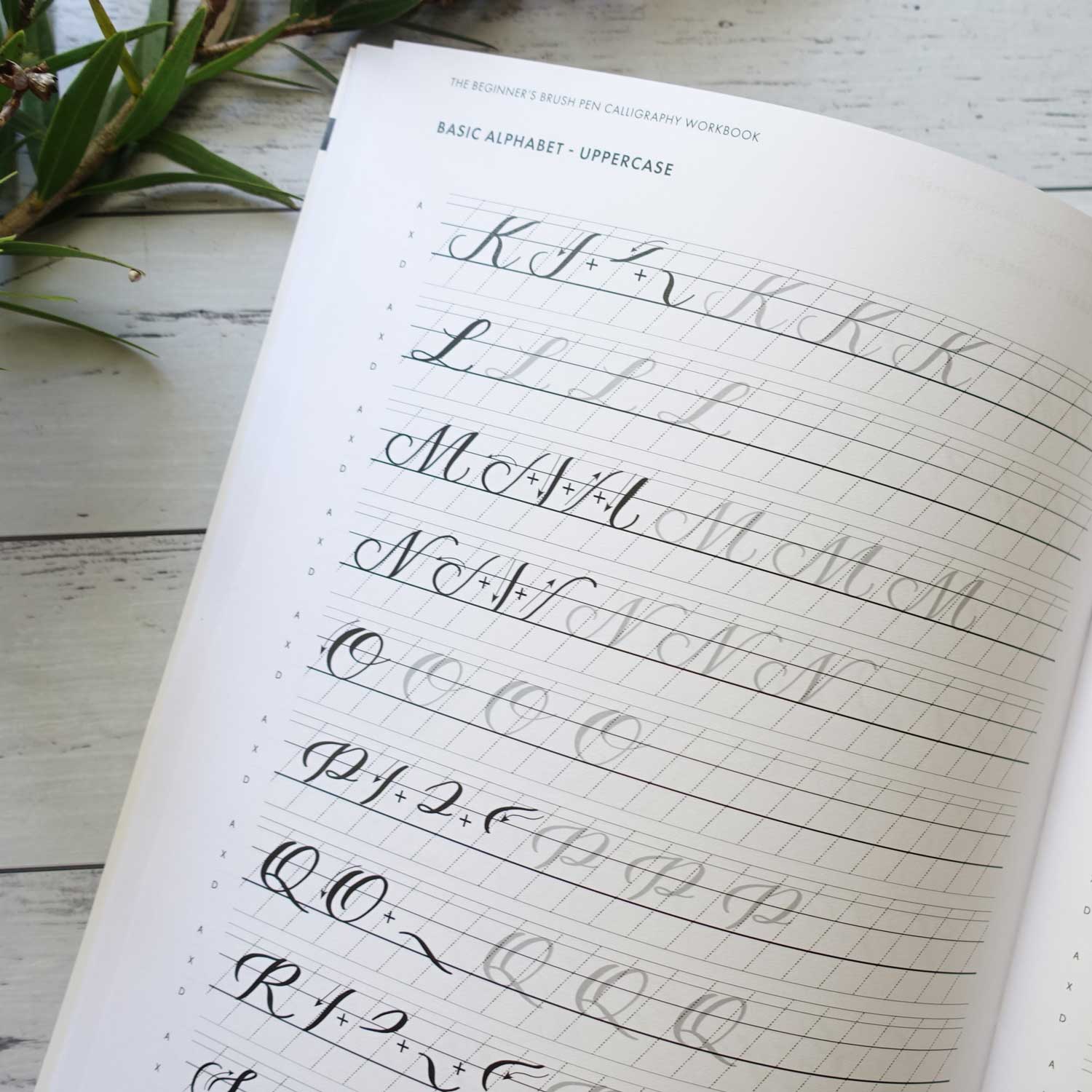 Beginner's brush pen lettering calligraphy uppercase capital letters alphabet Australia