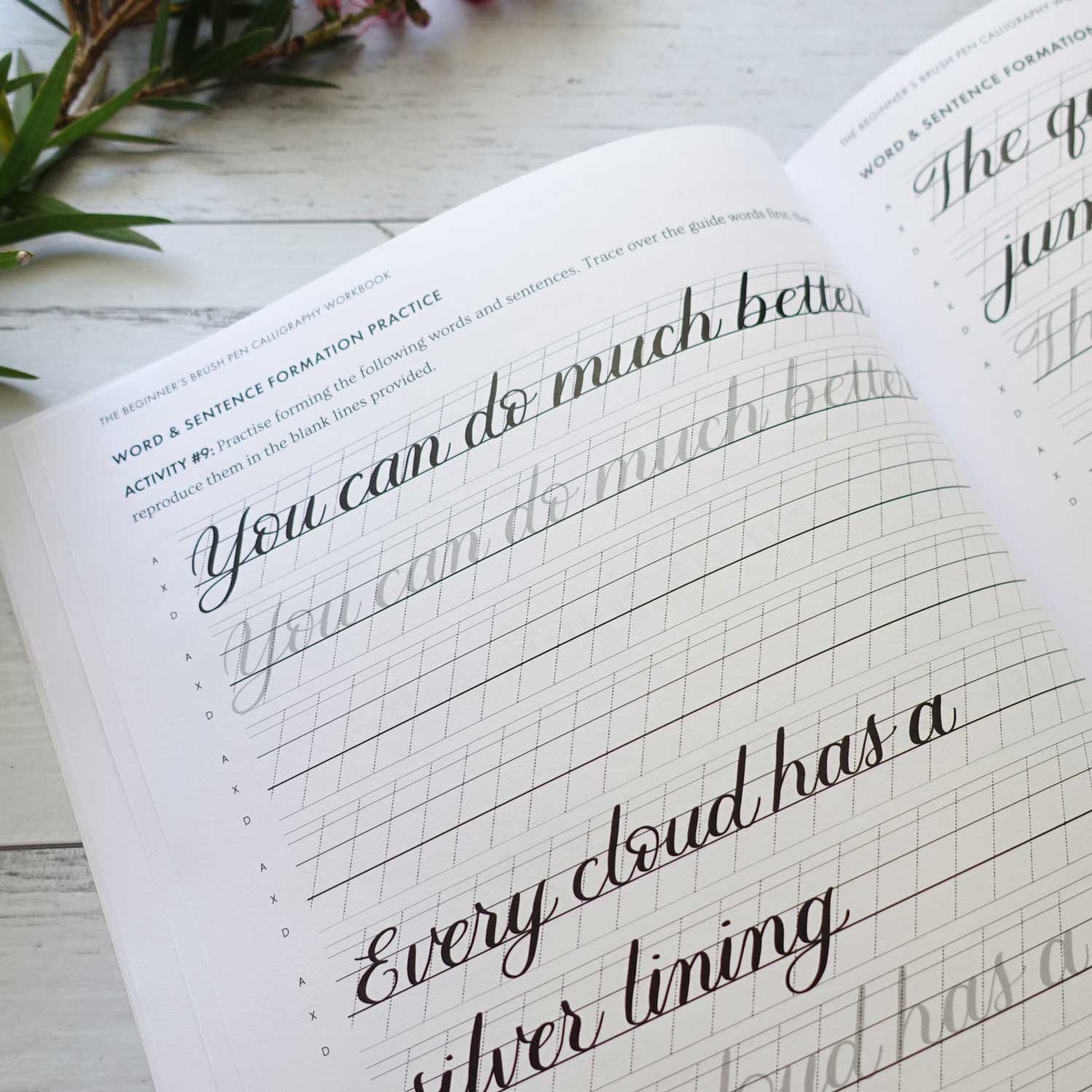 Beginner's brush pen lettering calligraphy workbook practice kit Australia