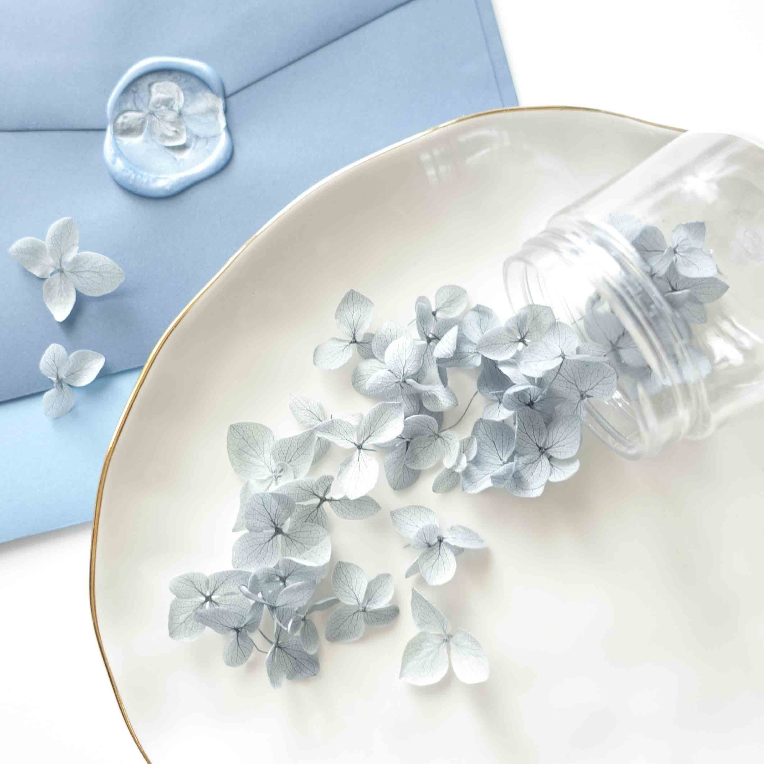 Dusty blue dried hydrangeas flowers for wax seals in a jar