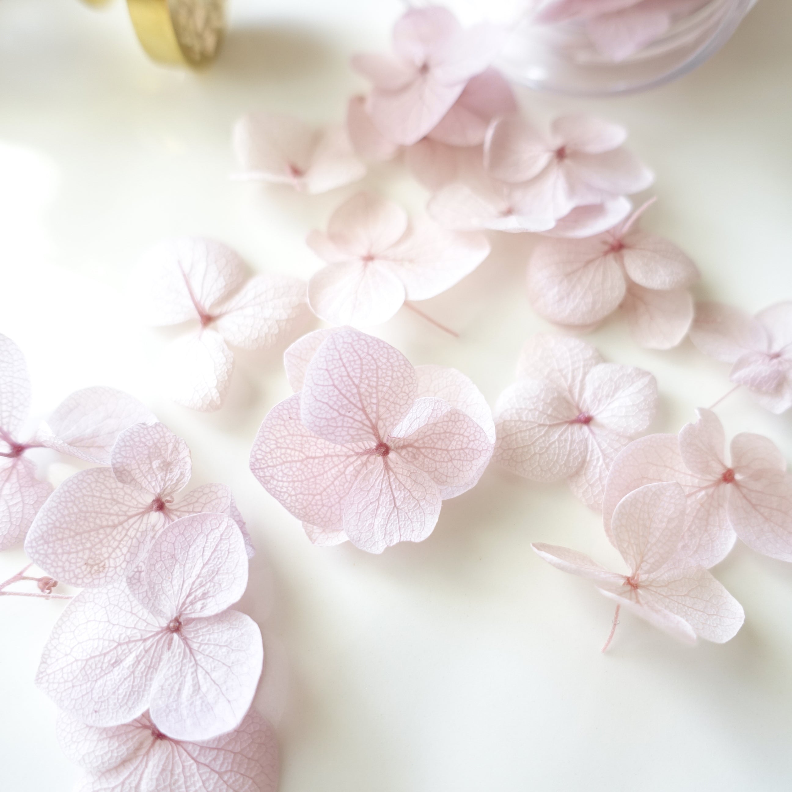 Lilac mauve pale purple dried hydrangea petals for wax sealing australia fiona ariva