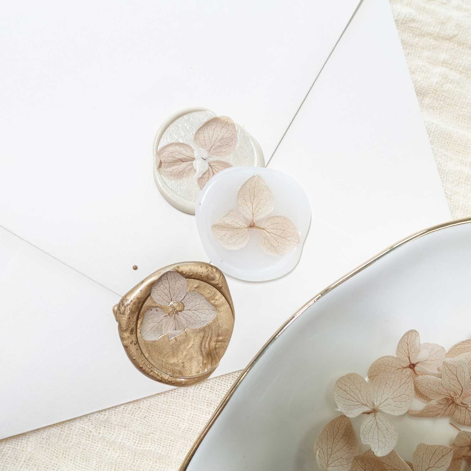 latte cream beige natural dried flowers for wax sealing hydrangea petals australia