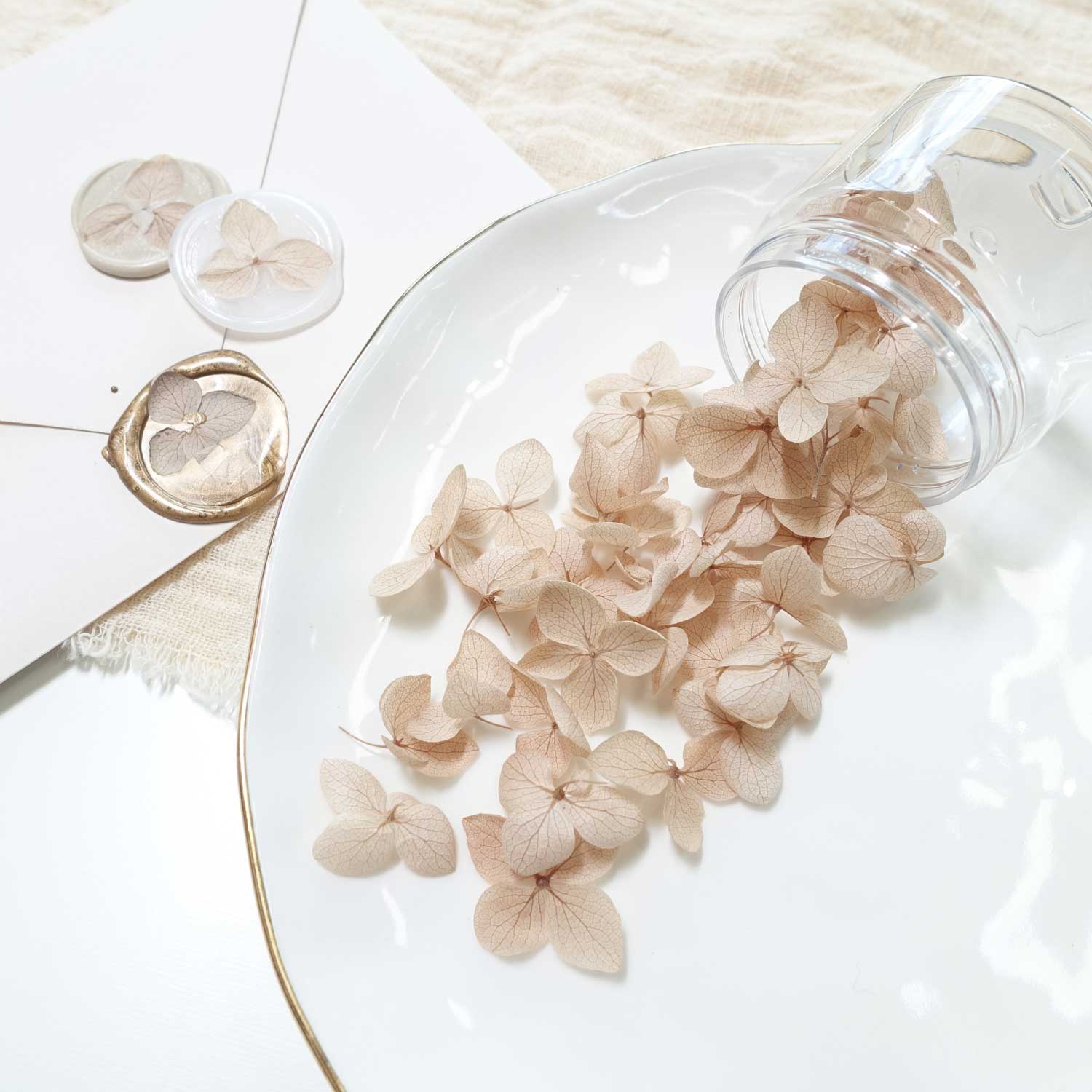 latte cream beige natural dried flowers for wax sealing hydrangea petals australia