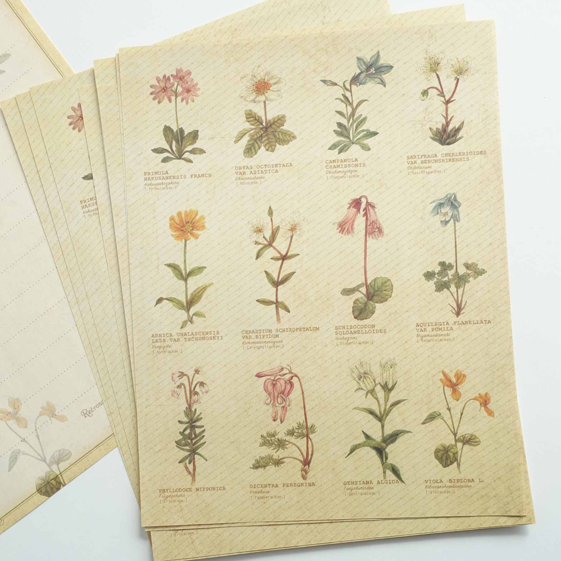 Vintage letter writing set alpine flowers australia