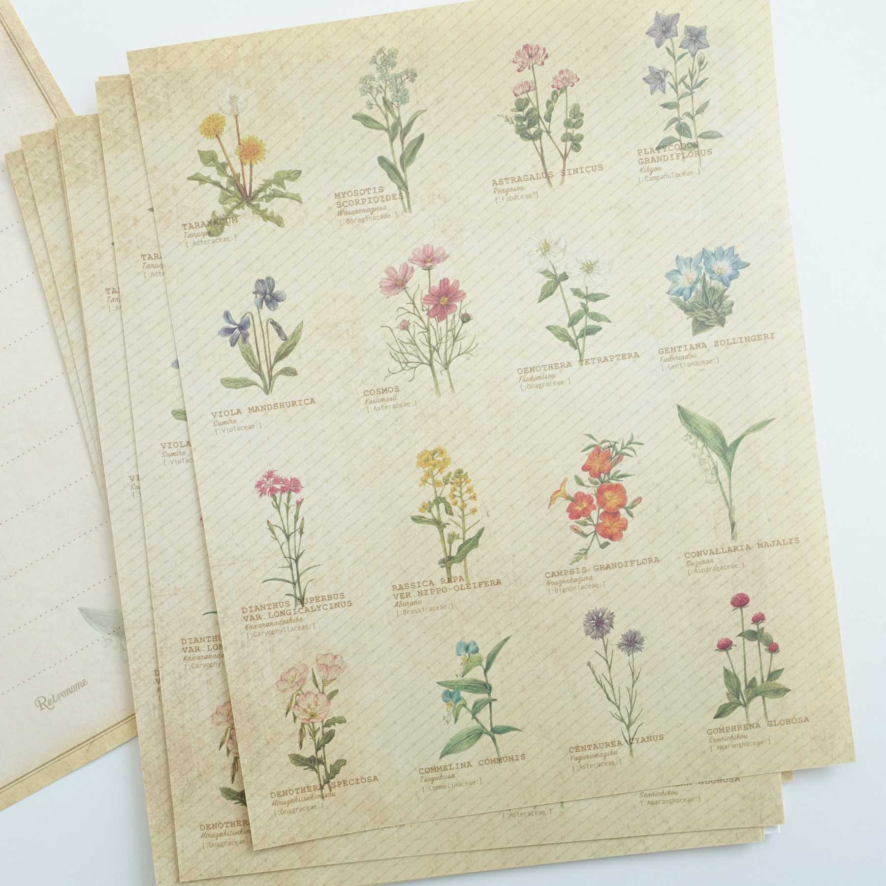 Vintage letter writing set wild flowers australia