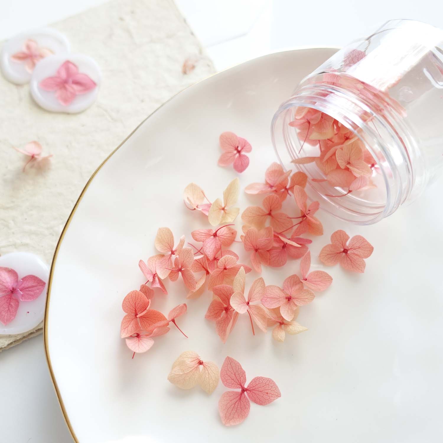 Vintage rose dried hydrangea petals jar