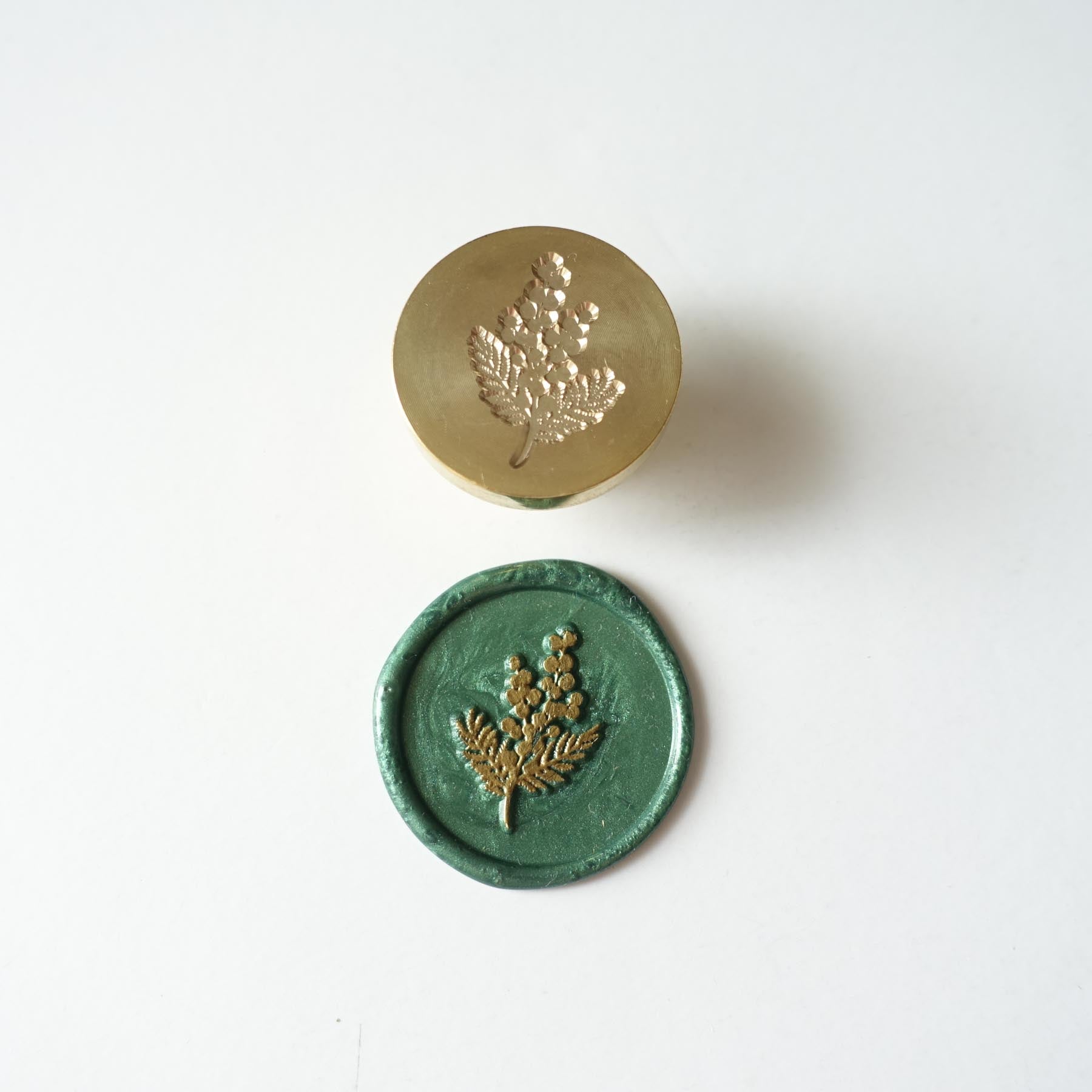 botanical flower plant wattle wax seal forest green fiona ariva australia