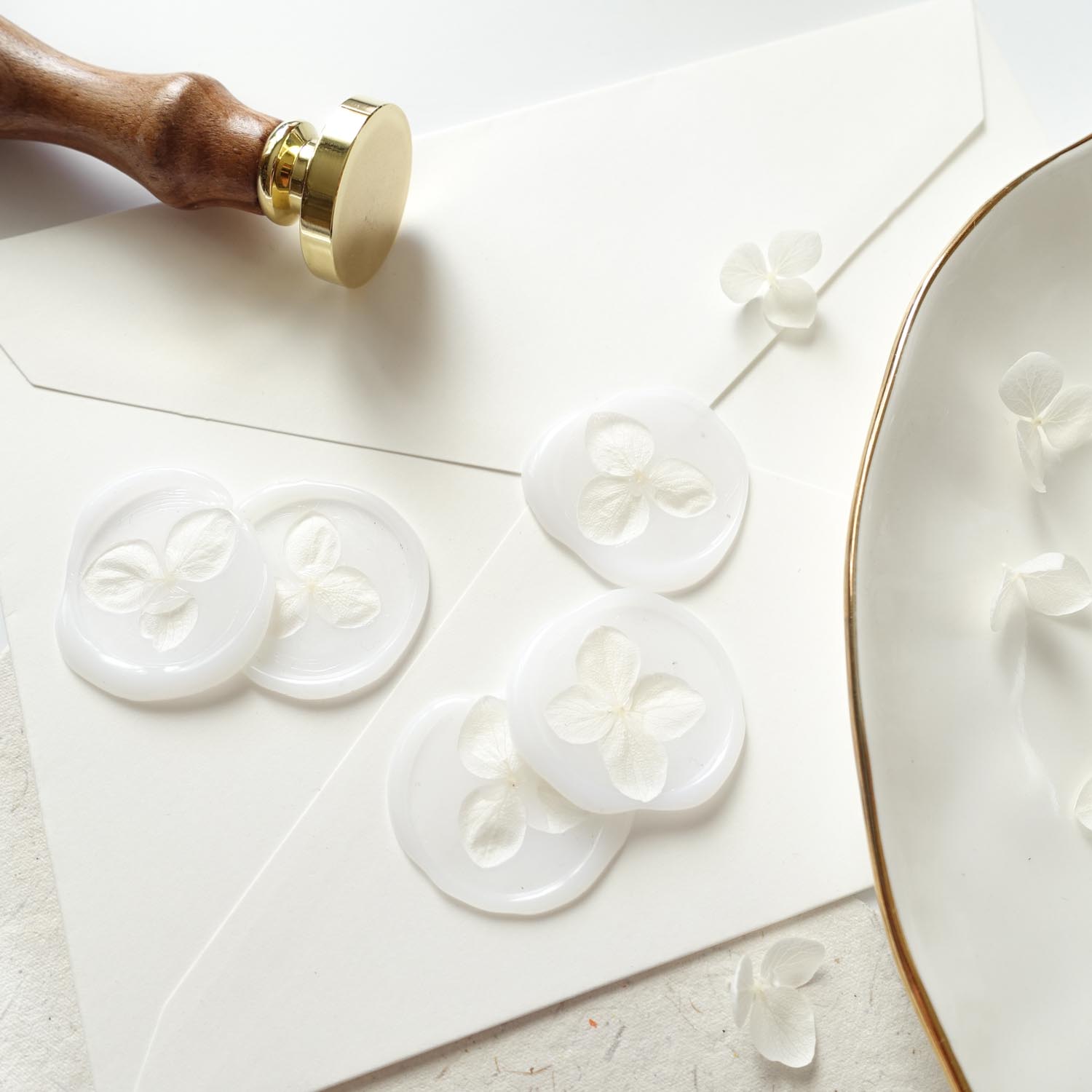 White dried hydrangea flower petals for wax seals australia