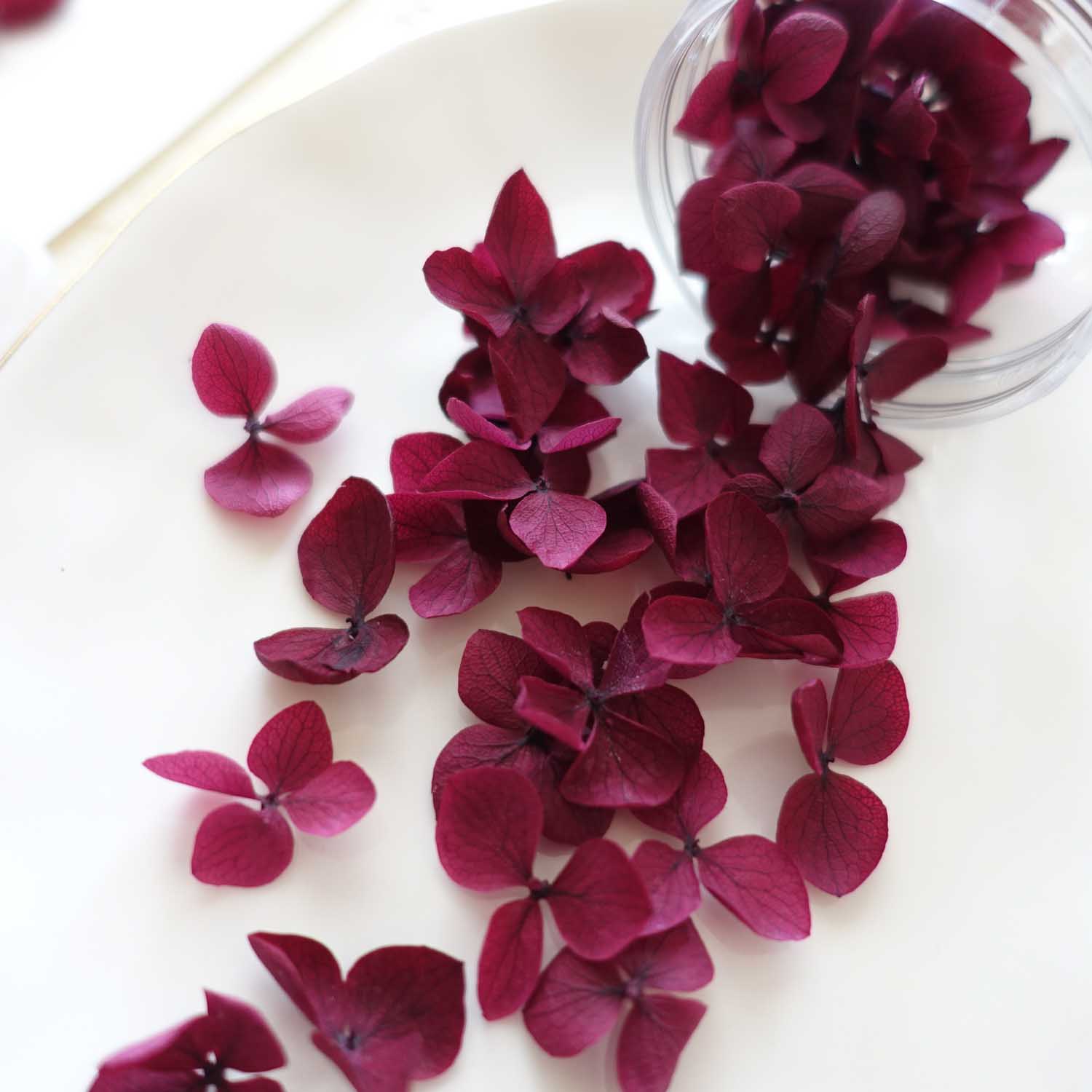 Wine burgundy dried hydrangea flower petals for wax seals australia