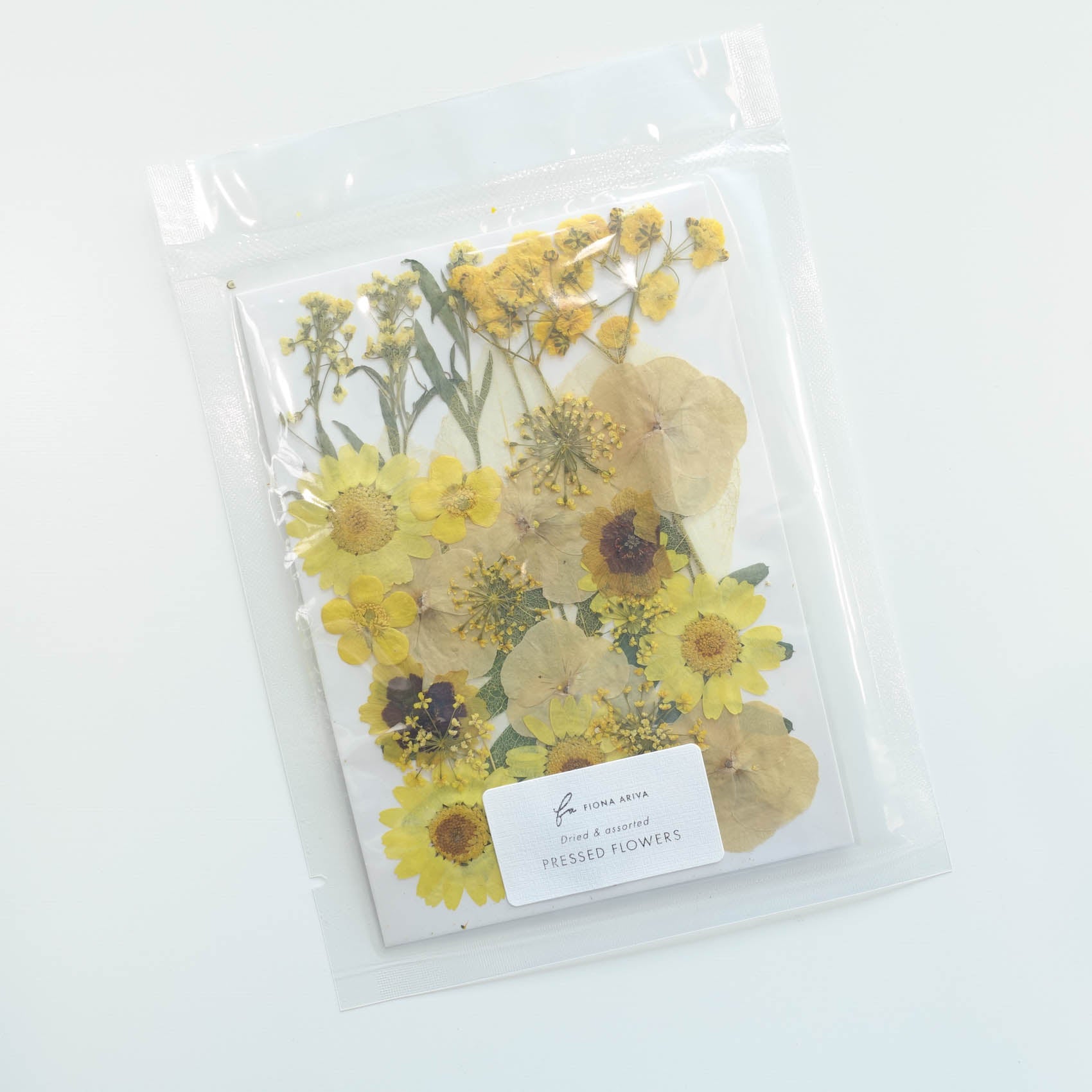 yellow daisy pressed dried flowers australia for resin art wax seal crafts