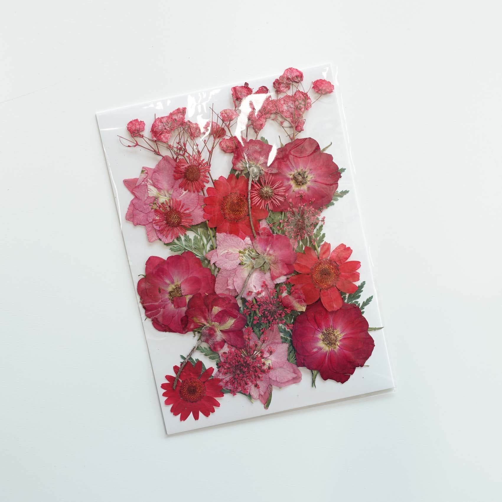 red rose daisy hydrangea pressed dried flowers australia for resin art wax seal crafts