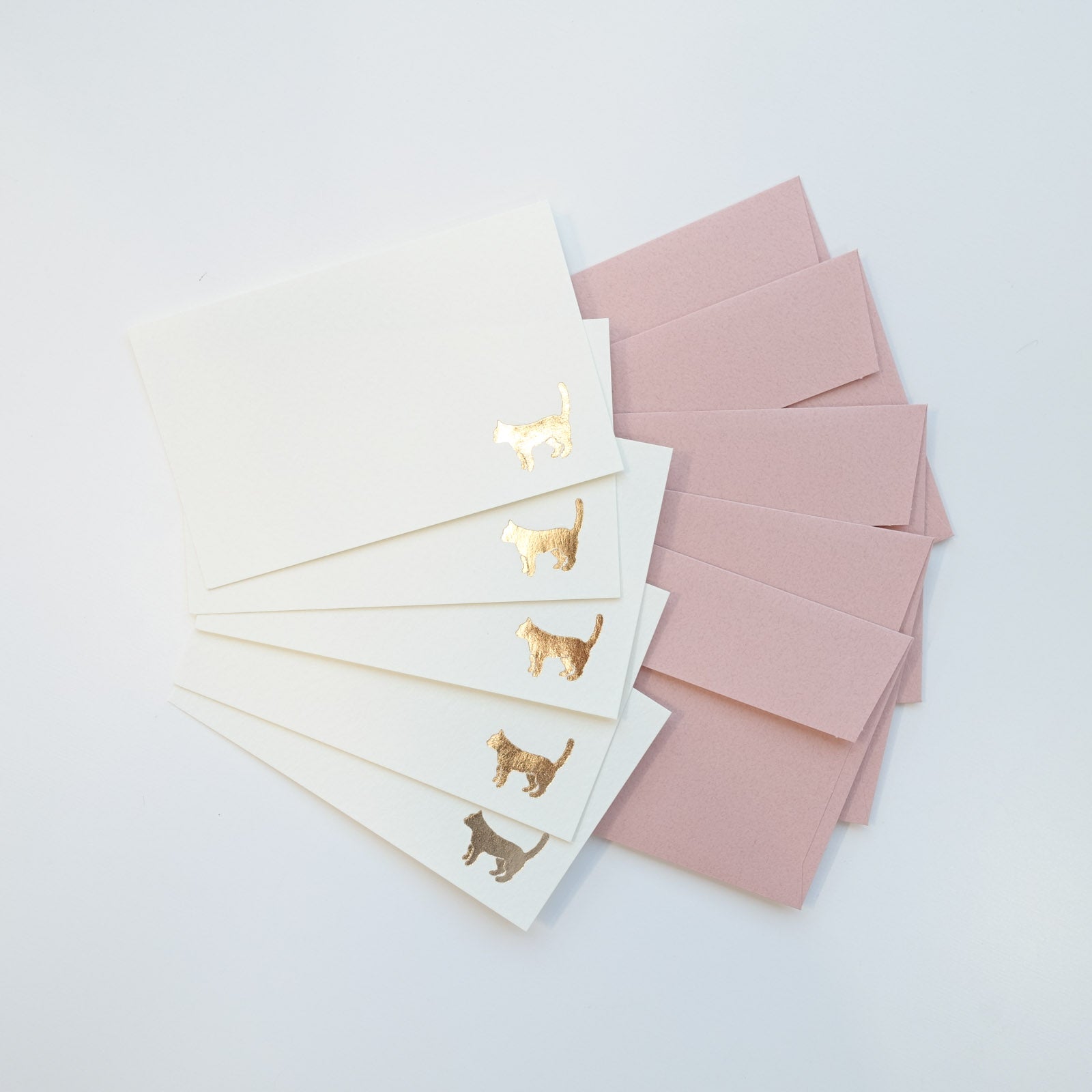 cat mini message card set envelopes gold foil