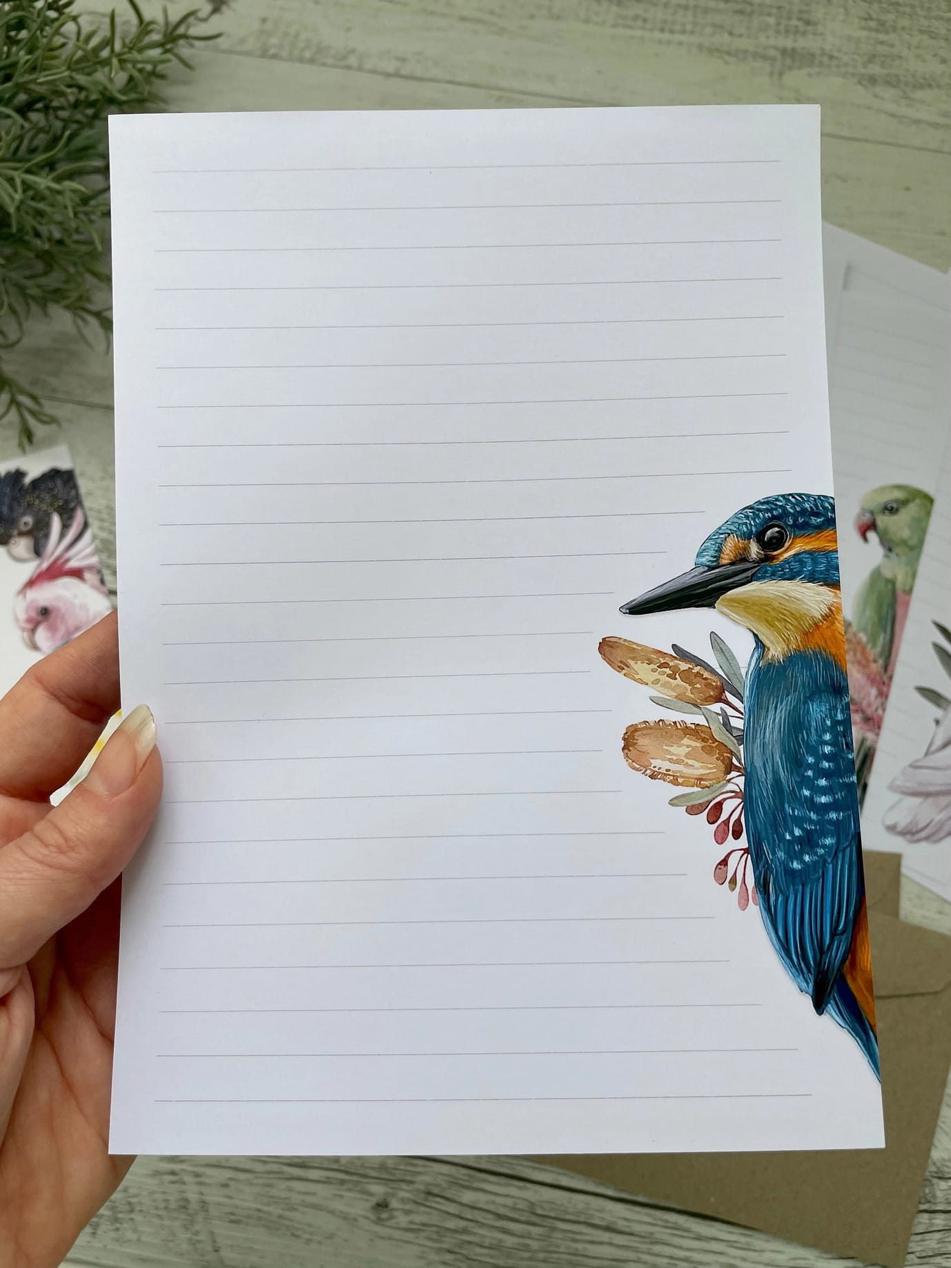 Australian Birds Profiles Letter Writing Set