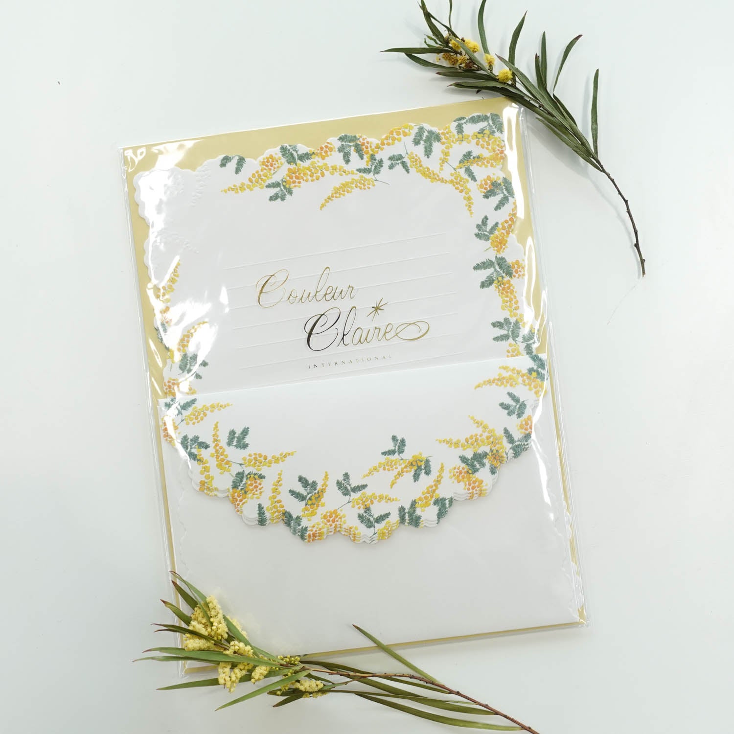 Wattle | Coleur Claire Arabesque Letter Writing Set