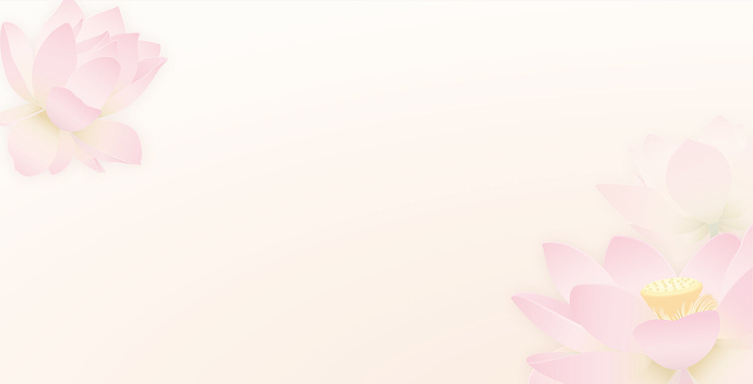 Envelopes (6-pack) - Pink Lotus