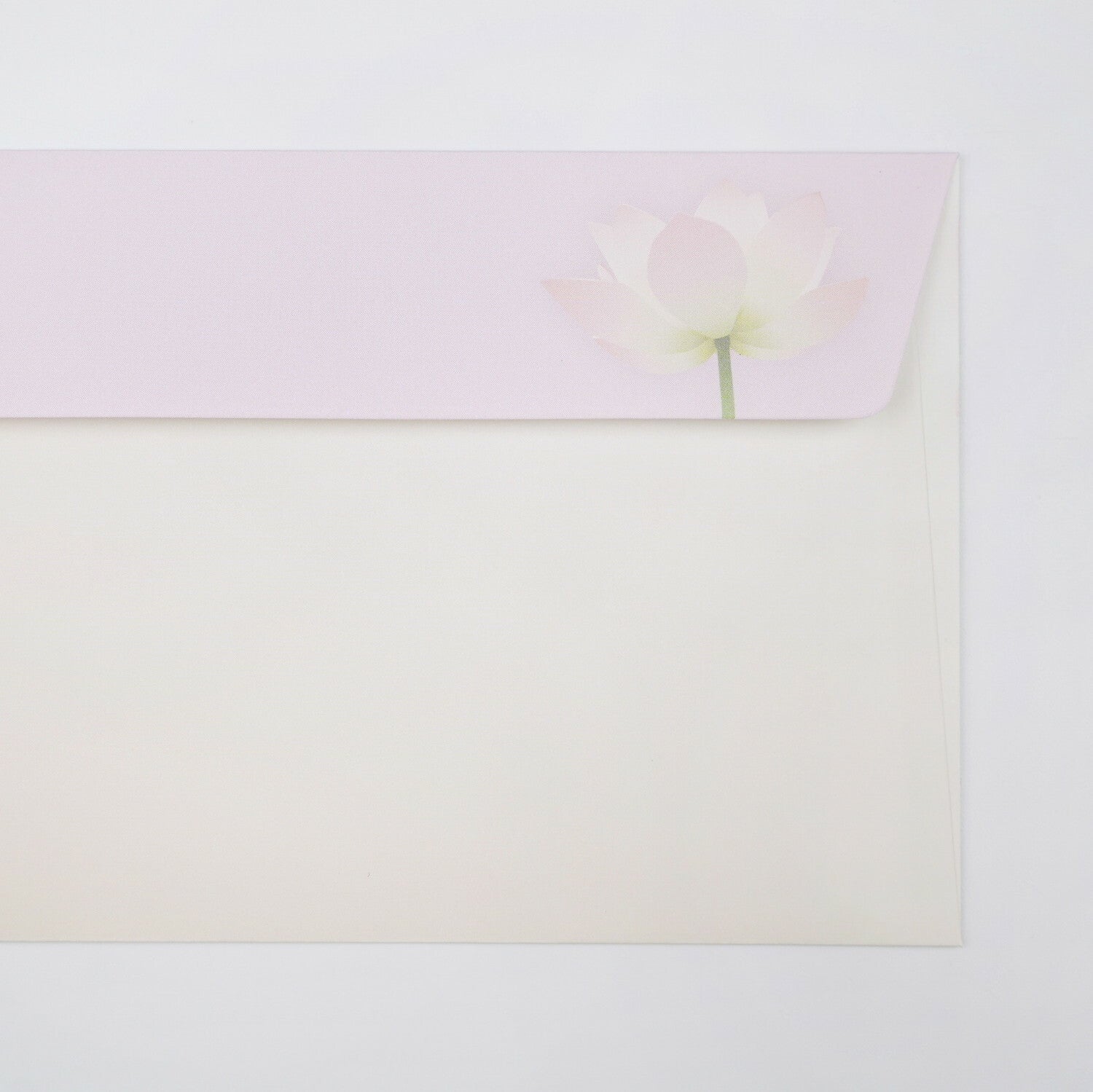 Envelopes (6-pack) - Pink Lotus