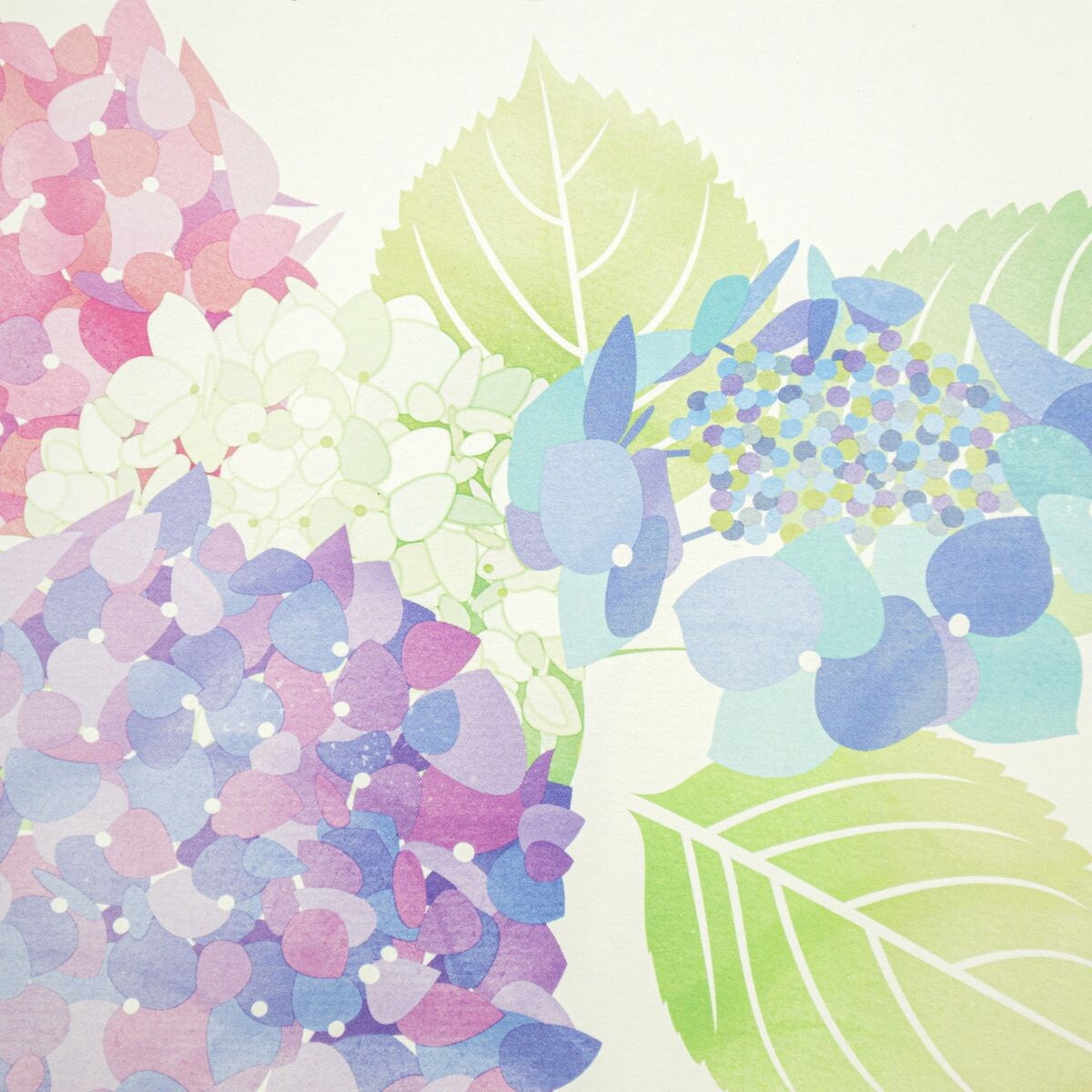 Hydrangea Flowers | Season of a Hydrangea | Letter Writing Pad