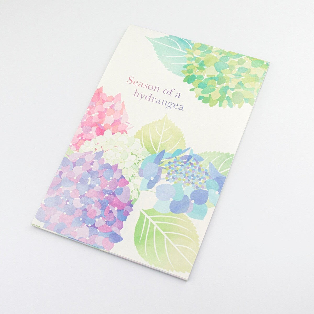 Hydrangea Flowers | Season of a Hydrangea | Letter Writing Pad