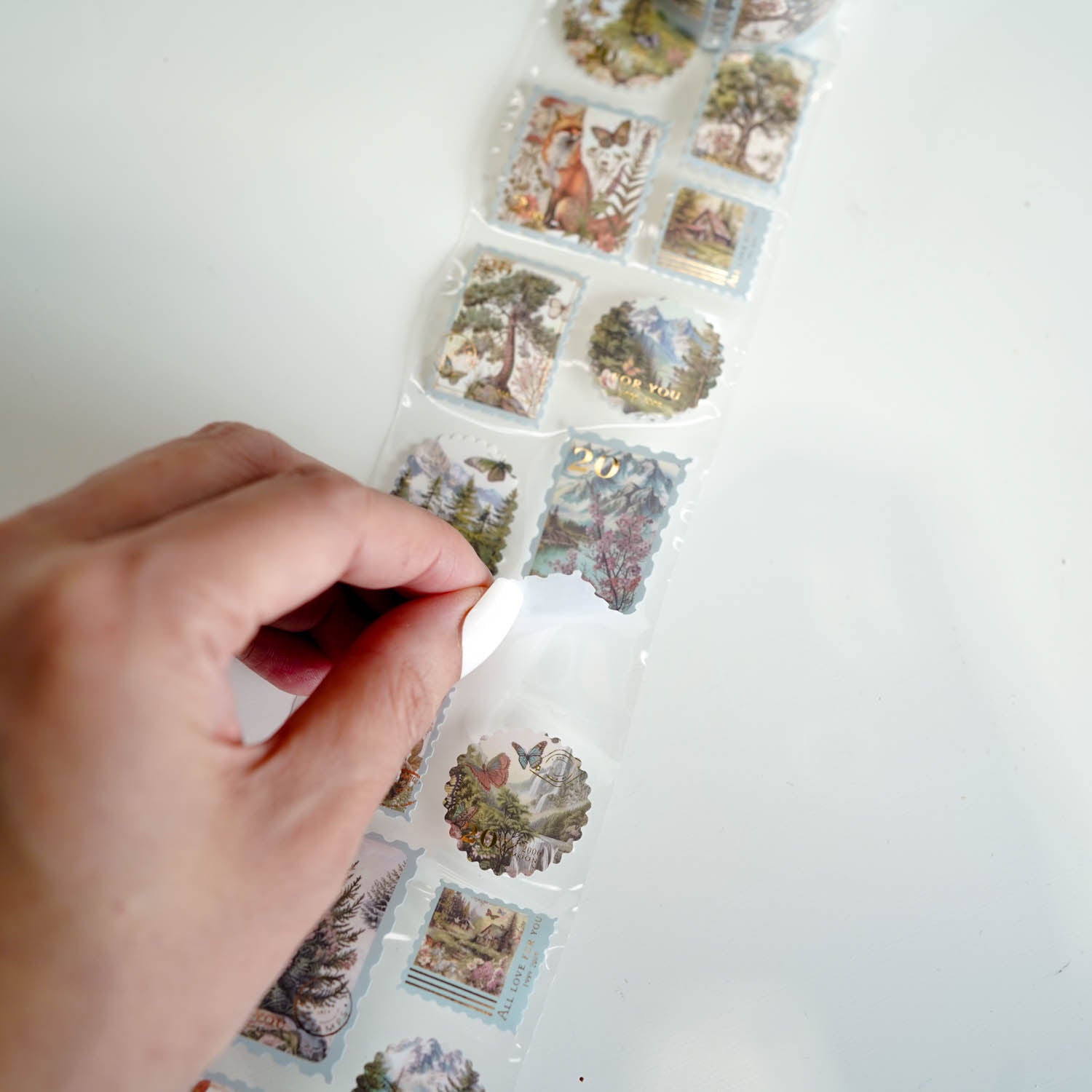 Forest Animals 'Poetry In My Writing' Postage Stamp Diecut Sticker Roll