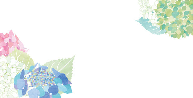 Envelopes (6-pack) - Hydrangea Flowers | Season of a Hydrangea
