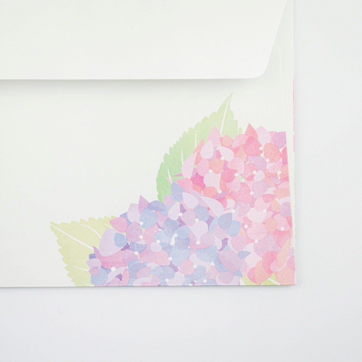 Envelopes (6-pack) - Hydrangea Flowers | Season of a Hydrangea
