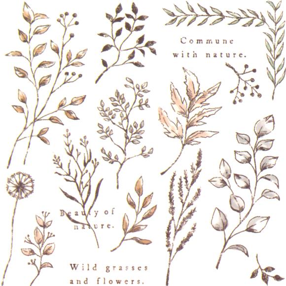 Sepia Flowers 'Decor Sticker' Sheet