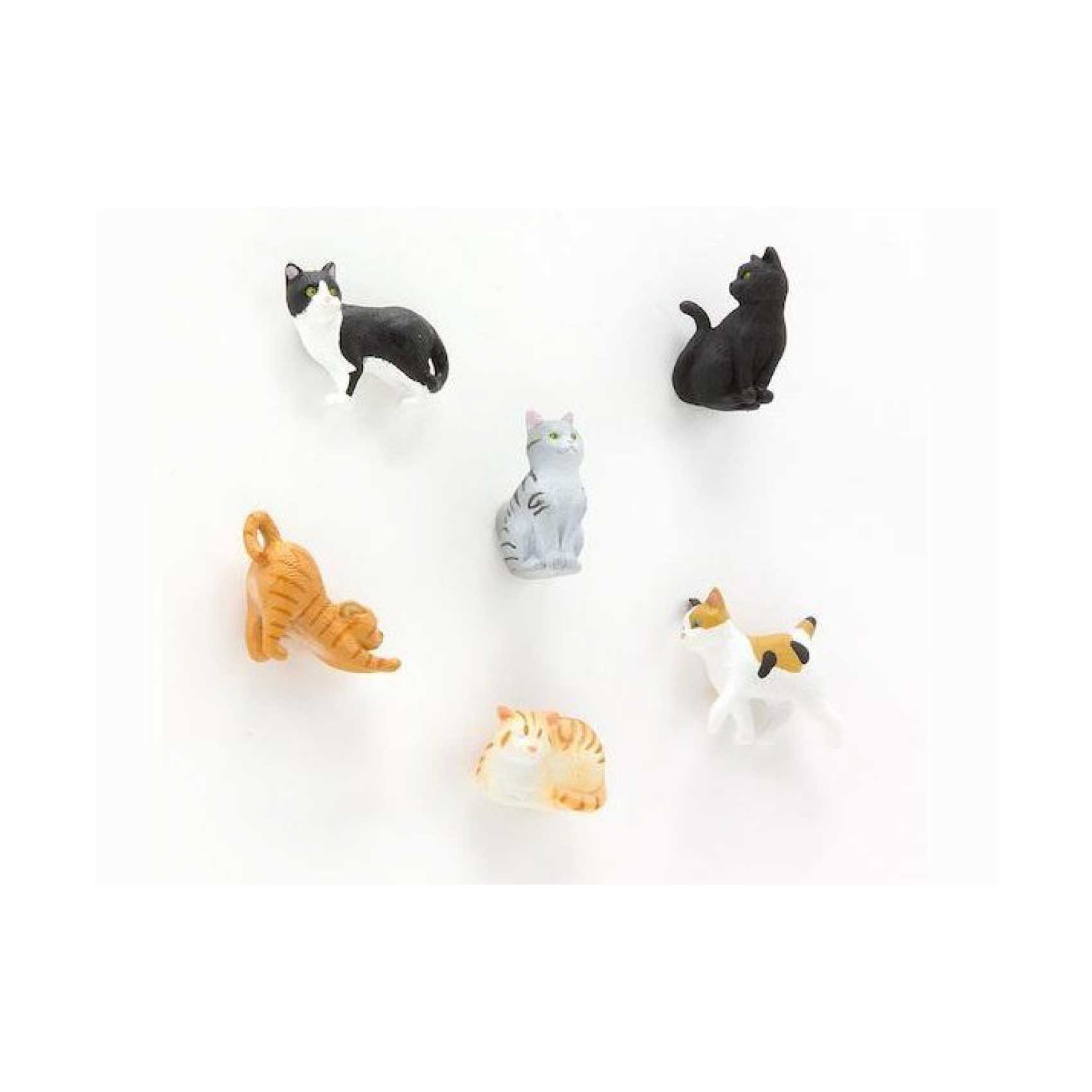 Cat Magnets | 6-pack Midori