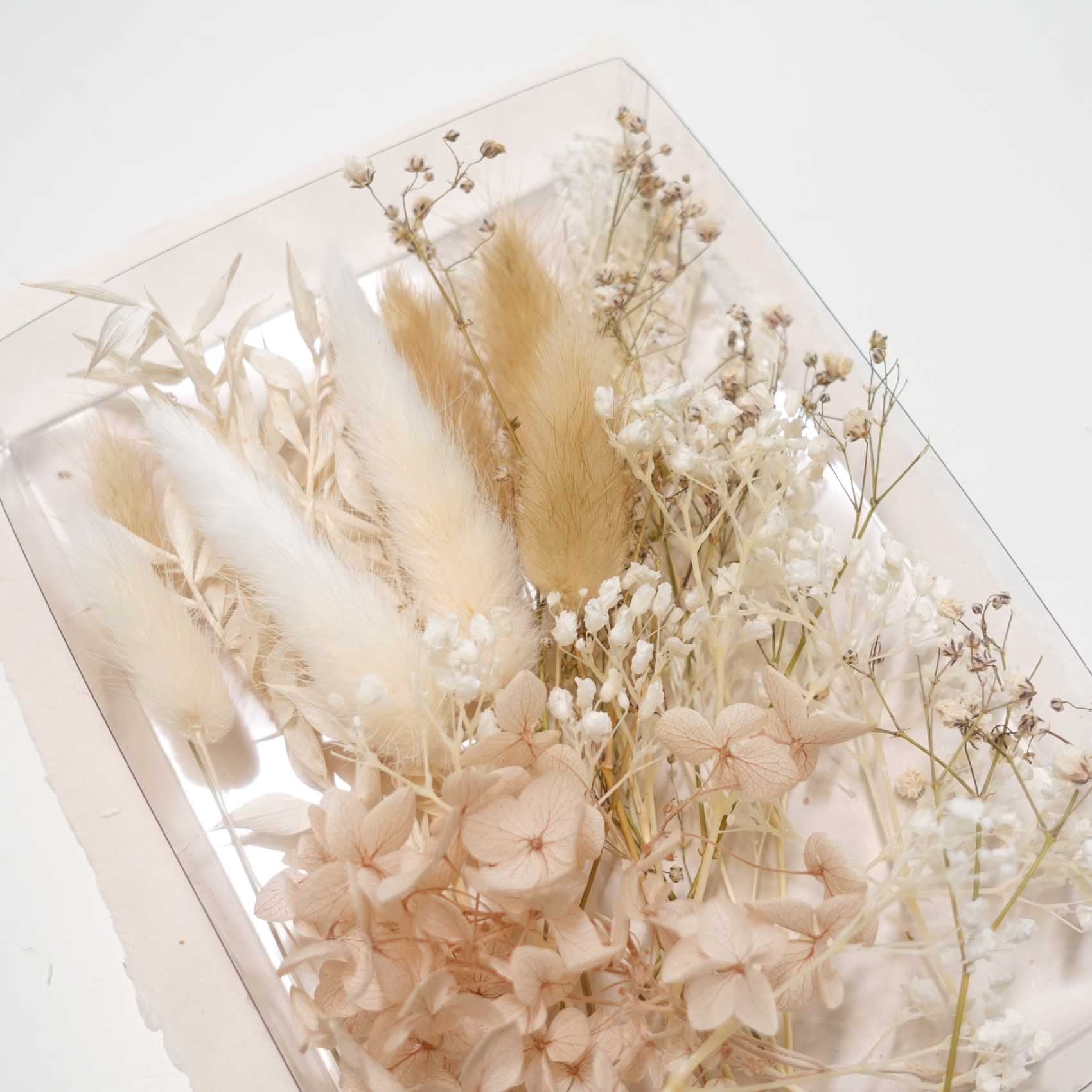 Loose Dried Flower Bunches - Rustic Neutrals Mix for wedding envelope invitations and wax seals australia