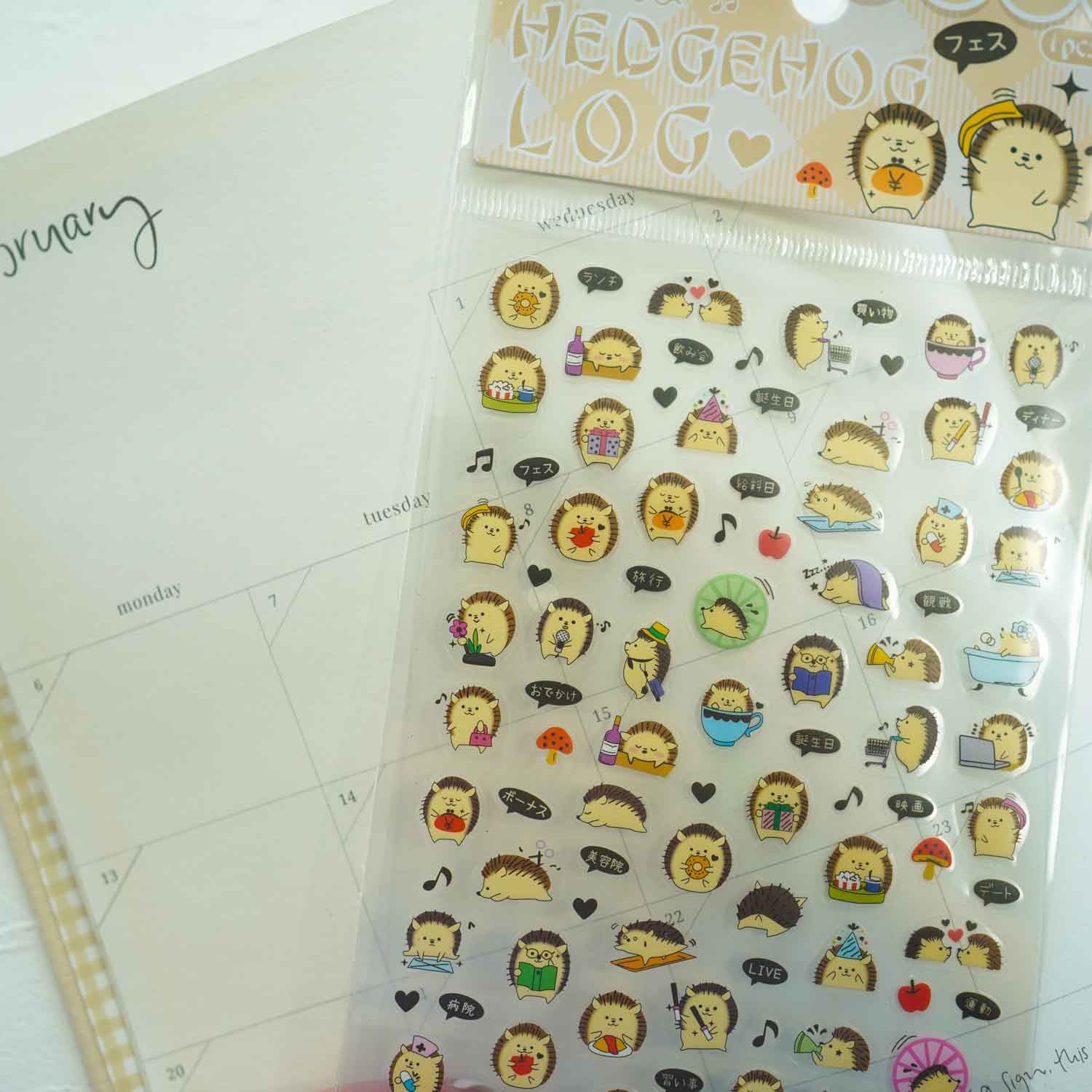 Hedgehog Diary Planner Daily Life Stickers Sheet