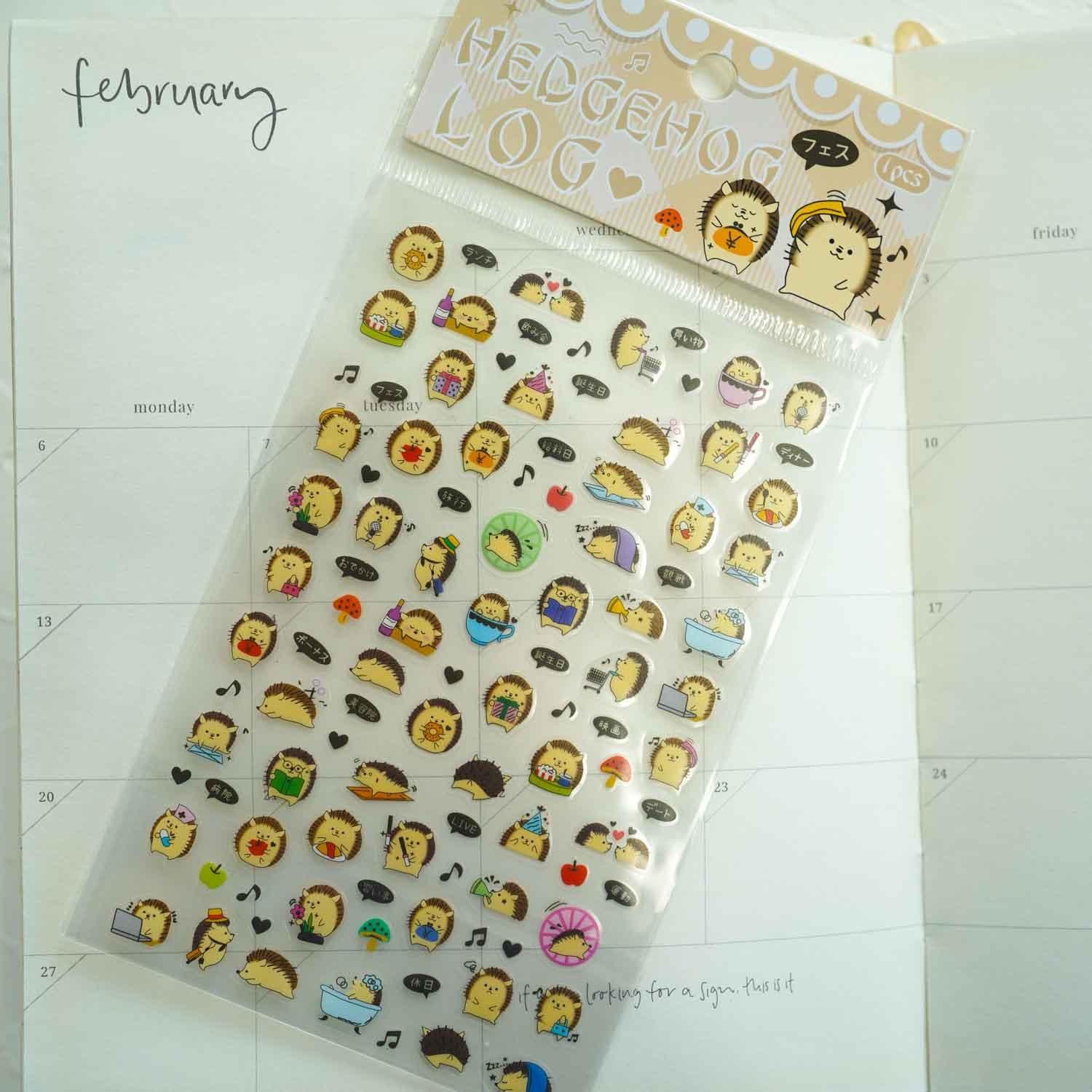 Hedgehog Diary Planner Daily Life Stickers Sheet