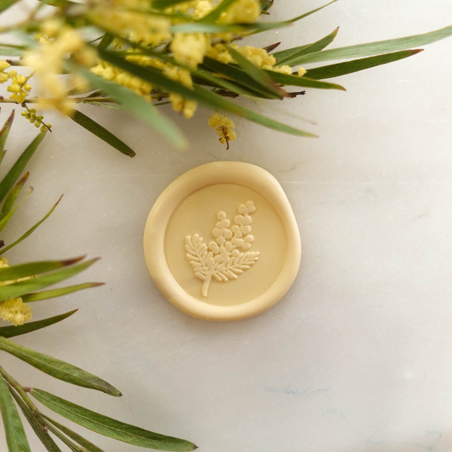 wattle flower australia fiona ariva wax seal 