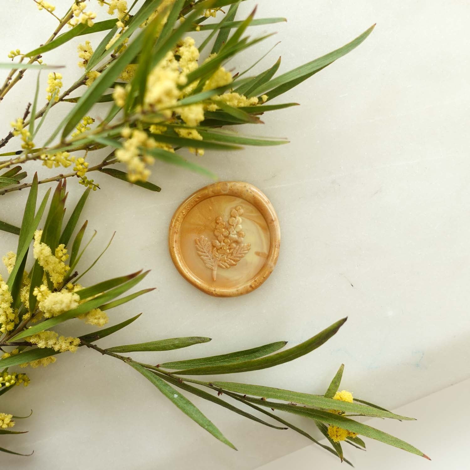 wattle flower australia fiona ariva wax seal 