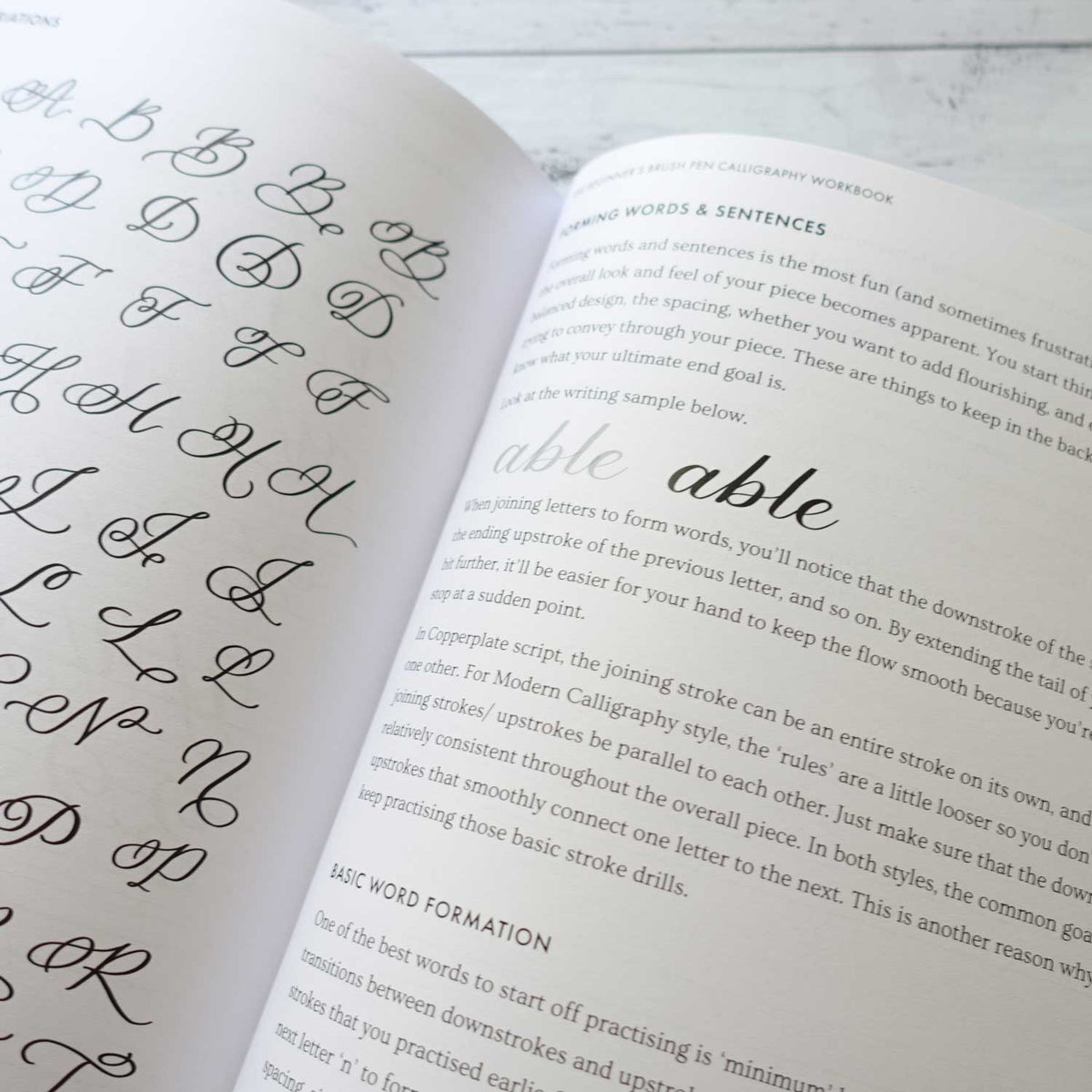 Instant Download - Beginner's brush pen calligraphy workbook .pdf