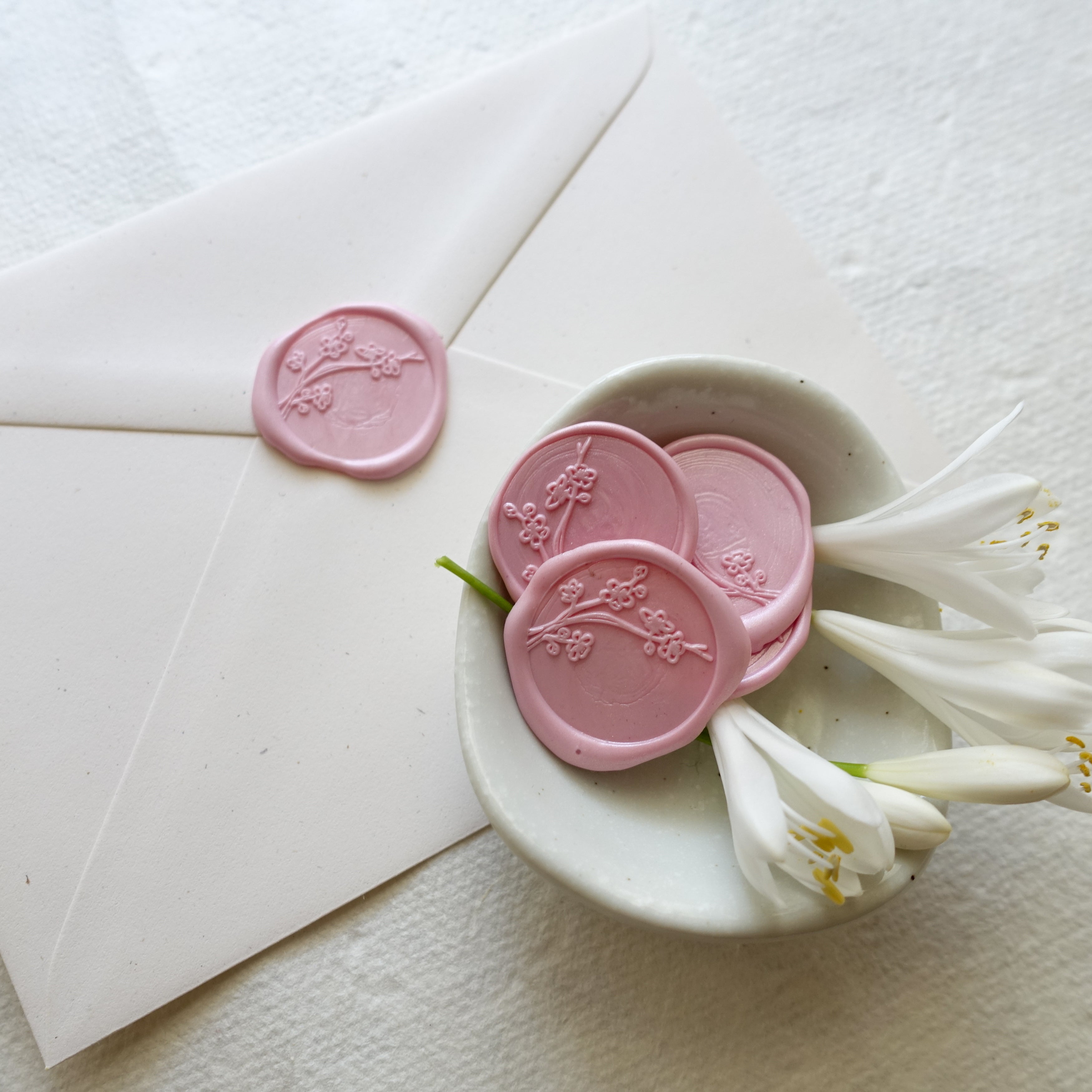 Primrose baby pale rose pink with cherry blossom wax seal Australia